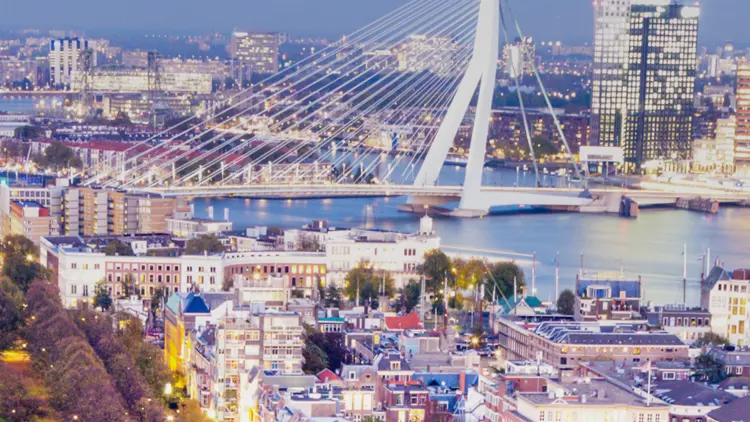 The Erasmus Bridge over the river Maas