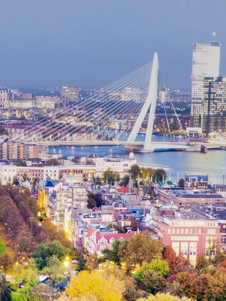 The Erasmus Bridge over the river Maas