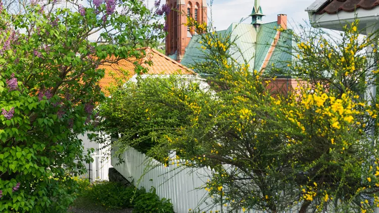 Arendal church in the background with buildings, gardens and sites in the foreground.