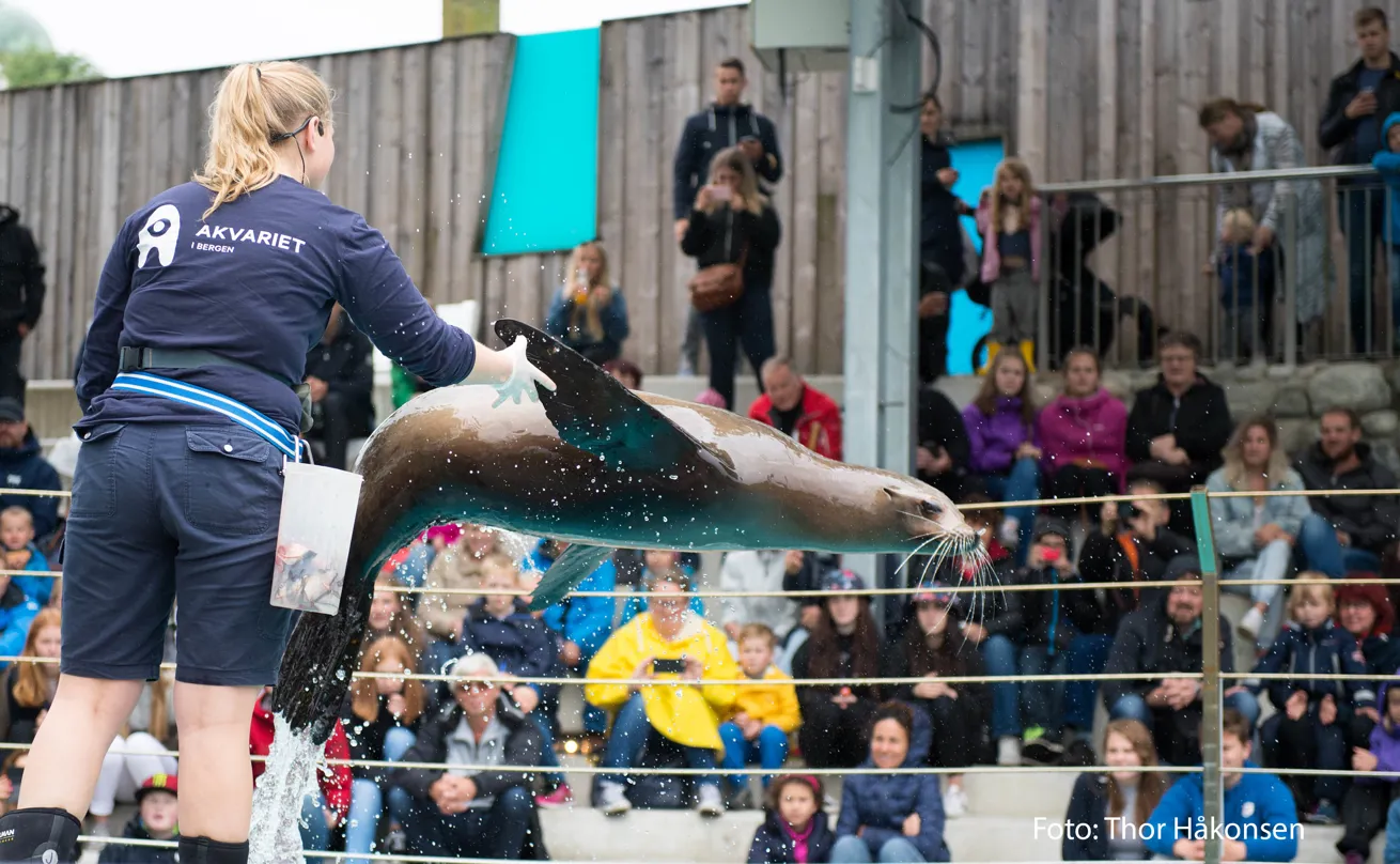 Bergen Aquarium