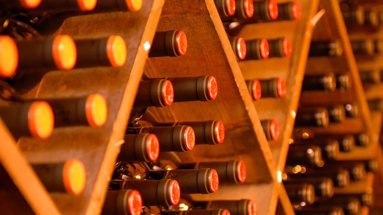 Rack with wine bottles